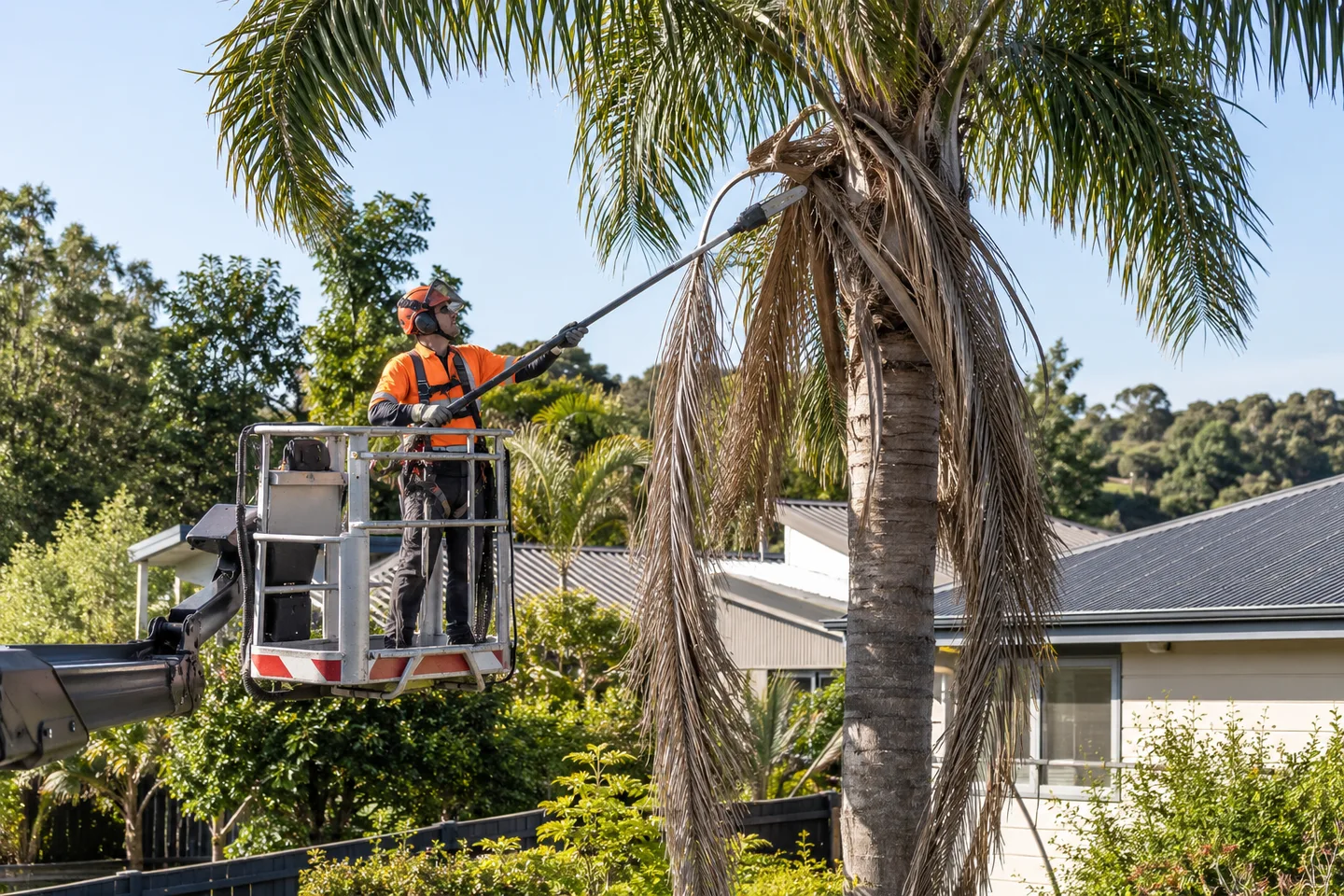 Plan tree work around the whole property — AI-generated illustration