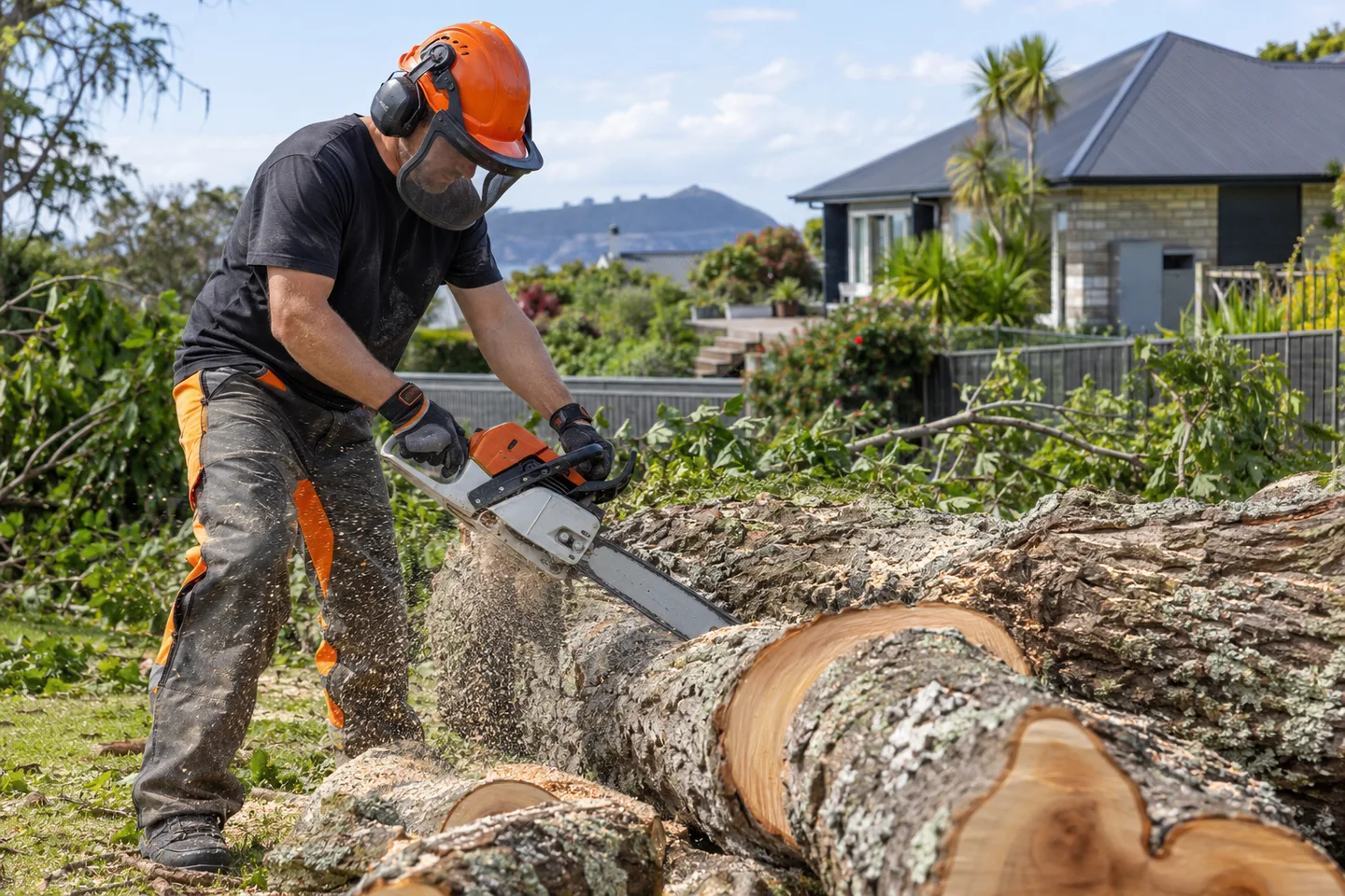 Tree Cutting Services in Tauranga — AI-generated illustration