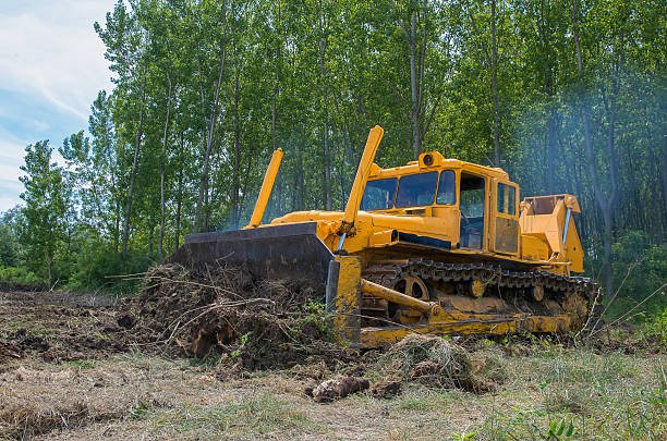 tree clearance for large scale project